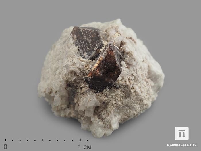Циркон, кристалл на породе в пластиковом боксе, 2-4 см, 10-61/4, фото 1