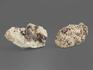 Циркон, кристаллы в породе 4-6 см, 14675, фото 2