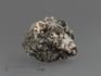 Циркон, кристаллы в породе 2,5-3,5 см, 14674, фото 1