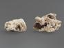 Циркон, кристаллы в породе 2,5-3,5 см, 14674, фото 2