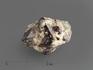 Циркон, кристаллы в породе 2,5-3,5 см, 13251, фото 1