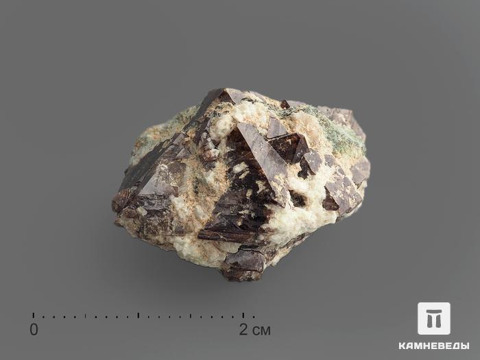 Циркон, кристаллы в породе 2,5-3,5 см, 13251, фото 1