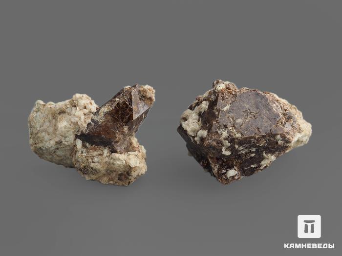 Циркон, кристаллы в породе 2,5-3,5 см, 13251, фото 2
