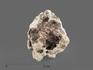 Циркон, кристаллы в породе 3,5-4,5 см, 13258, фото 1