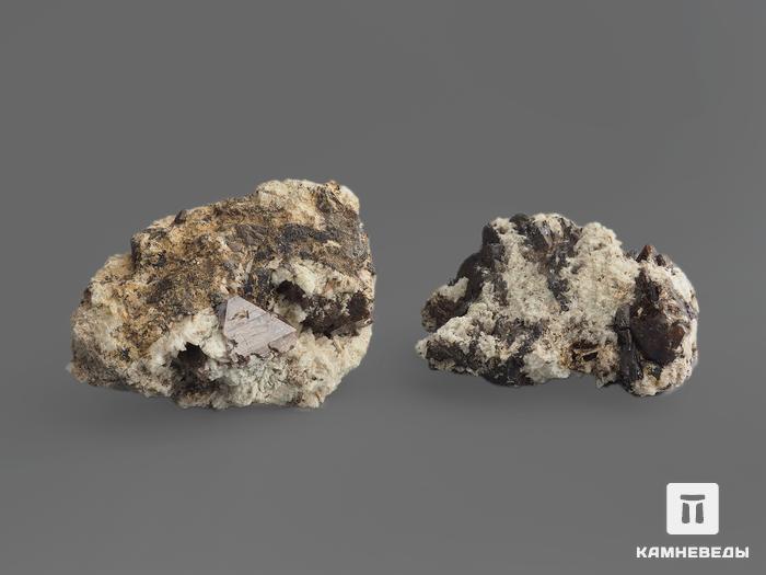Циркон, кристаллы в породе 3,5-5,5 см, 13256, фото 2