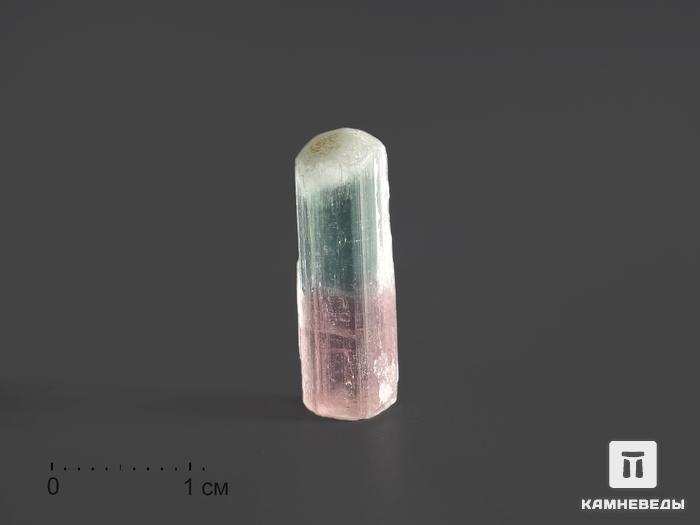 Турмалин полихромный, кристалл 1х0,3х0,3 см, 9860, фото 1
