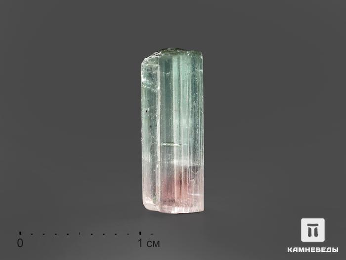Турмалин полихромный, кристалл 1,2х0,5х0,4 см, 15079, фото 1