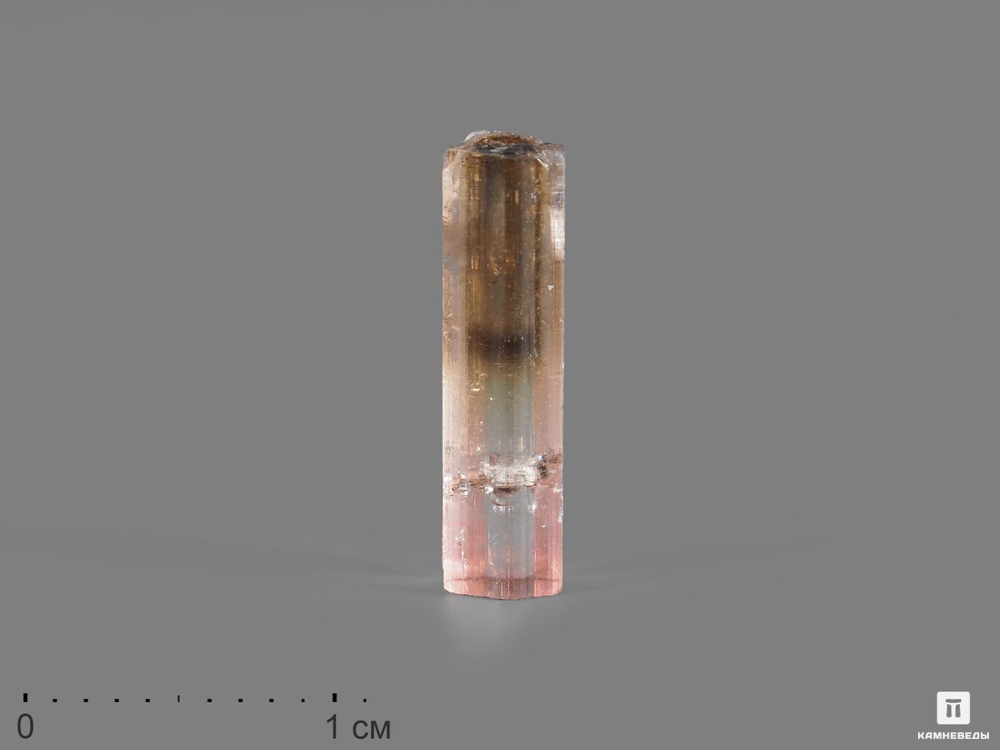 Турмалин полихромный, кристалл 1,4х0,4х0,4 см, 15078, фото 1