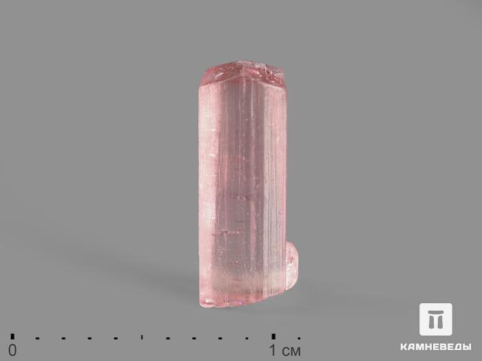Турмалин (рубеллит), кристалл 1,1х0,4х0,3 см, 15095, фото 1