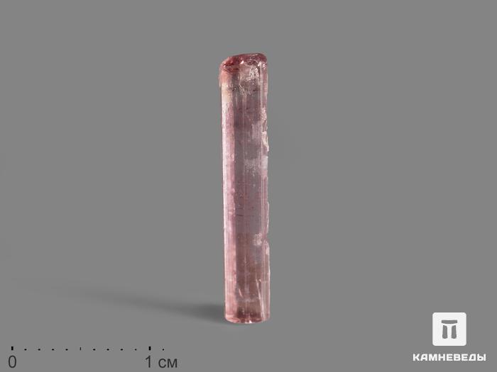 Турмалин (рубеллит), кристалл 2,2х0,4х0,3 см, 15090, фото 1
