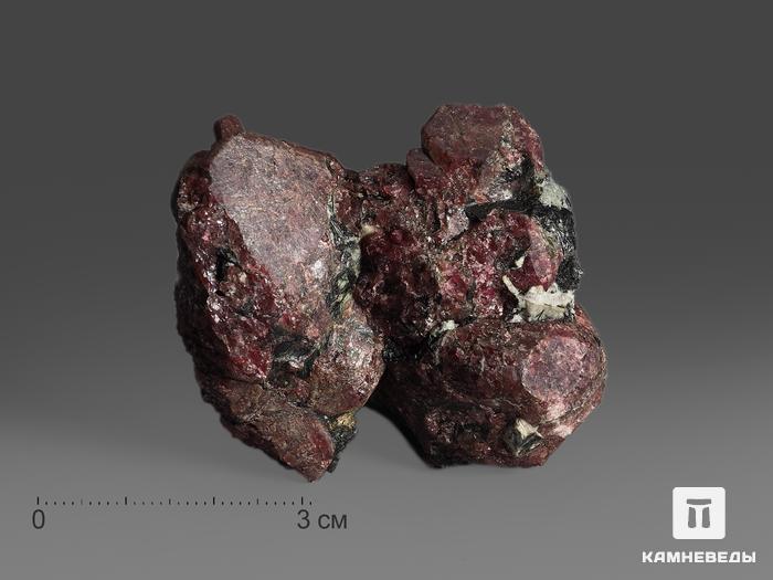 Эвдиалит, 5х4,6х3,2 см, 15300, фото 1