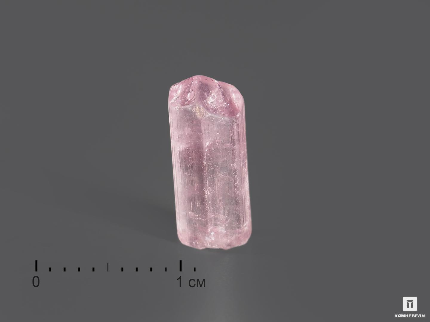 Турмалин (рубеллит), кристалл 1,1х0,5х0,4 см, 13954, фото 1