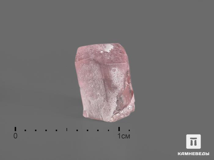 Турмалин (рубеллит), кристалл 0,7-1,2 см, 15094, фото 2