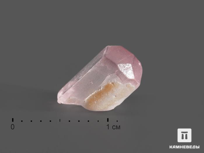 Турмалин (рубеллит), кристалл 0,7-1,2 см, 15094, фото 1