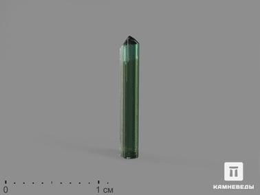 Турмалин, Верделит (зелёный турмалин). Турмалин (верделит), кристалл 1,6х0,1х0,1 см
