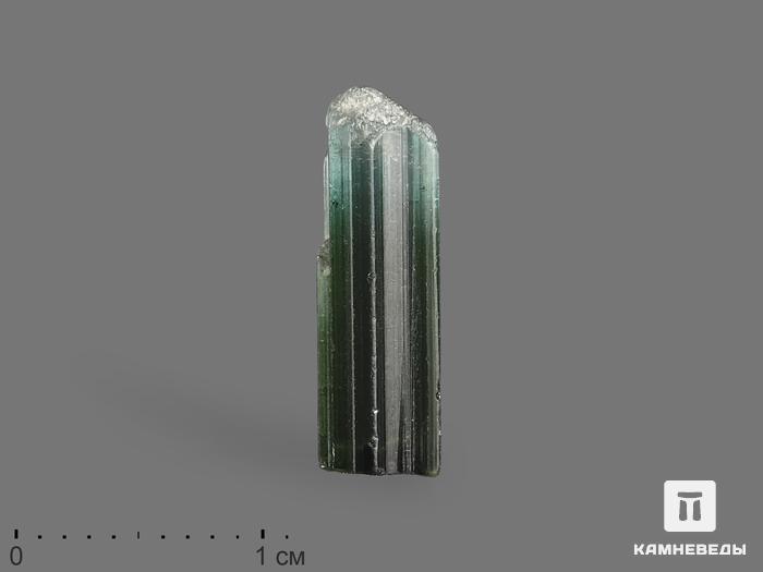Турмалин (верделит), кристалл 1,6х0,5х0,3 см, 15246, фото 1