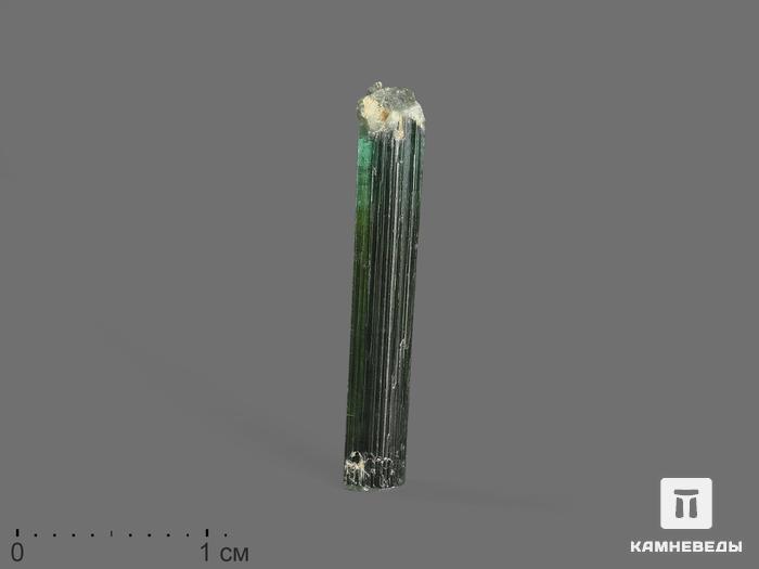 Турмалин (верделит), кристалл 2,3х0,3х0,2 см, 15248, фото 1