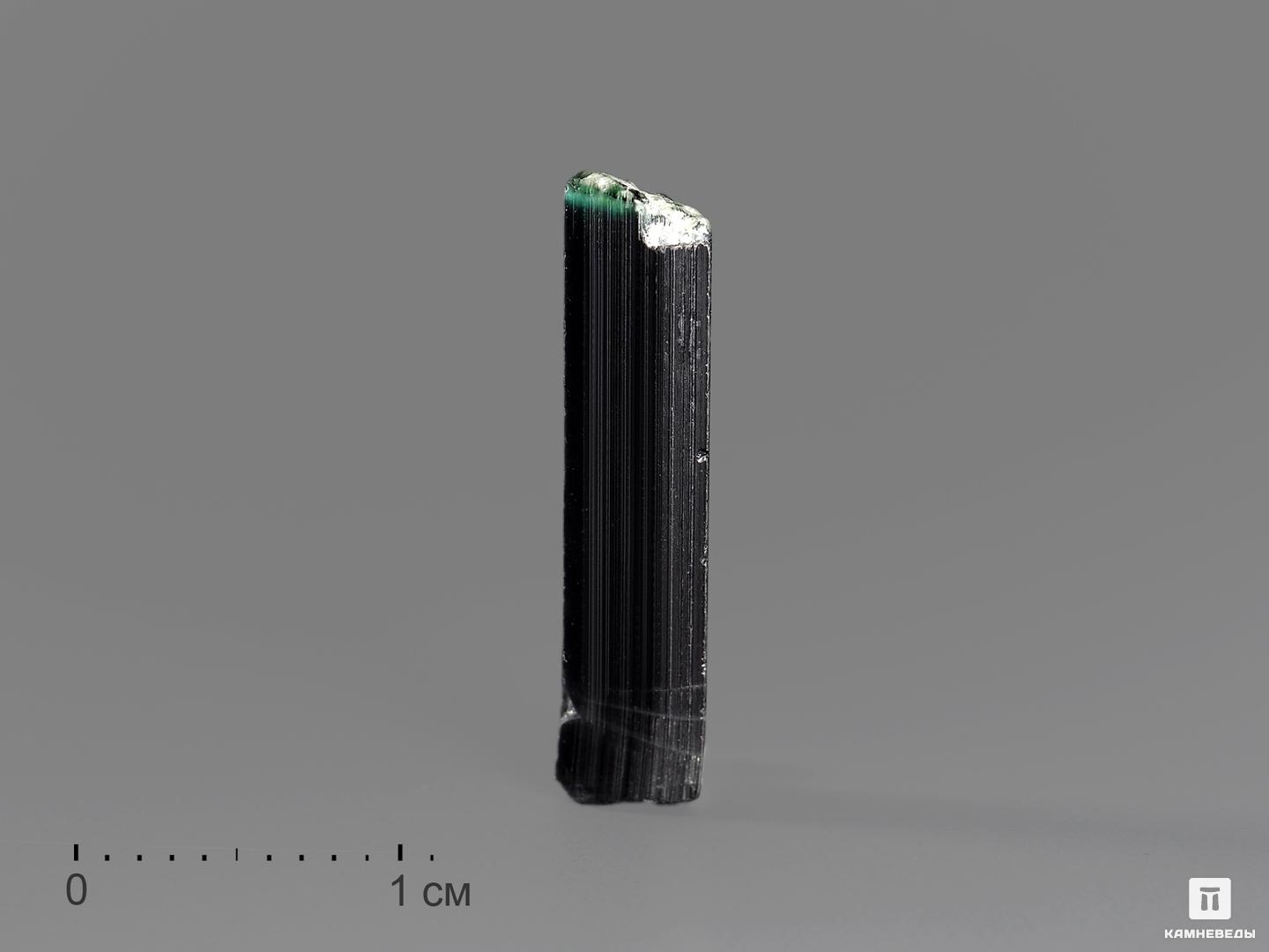 Турмалин (индиголит), кристалл 2,3х0,5х0,4 см шерл чёрный турмалин кристалл 25х8 5х7 5 см