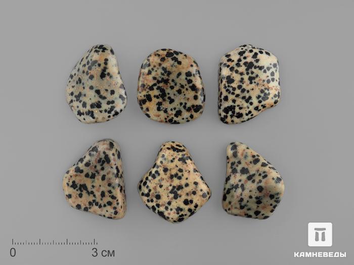 Яшма далматиновая (трахириодацит), крупная галтовка 2,5-3,5 см (10-15 г), 15463, фото 1