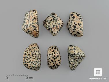 Яшма, Трахириодацит. Яшма далматиновая (трахириодацит), крупная галтовка 3,5-4,5 см (25-30 г)