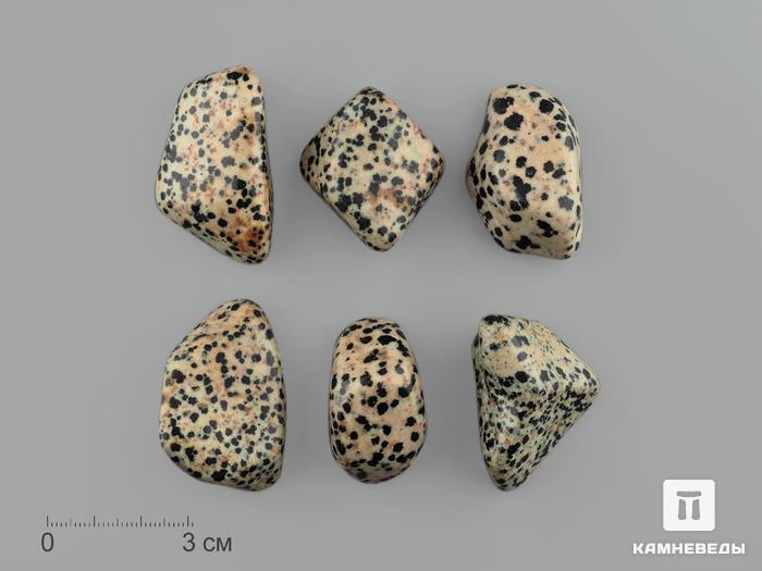 Яшма далматиновая (трахириодацит), крупная галтовка 3,5-4,5 см (25-30 г), 15467, фото 1