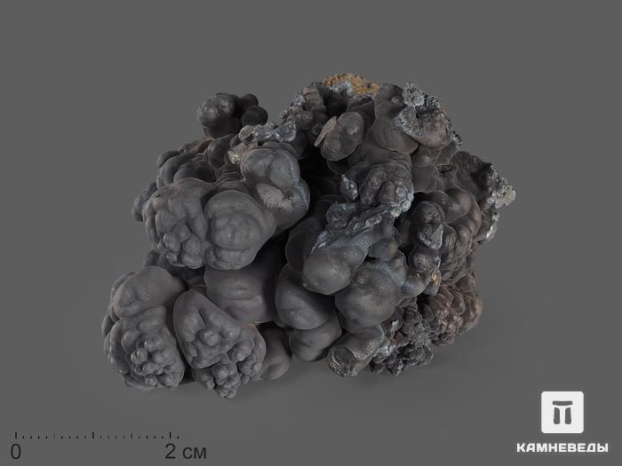 Голландит, 5,5-7 см (120-130 г), 10-592/3, фото 4