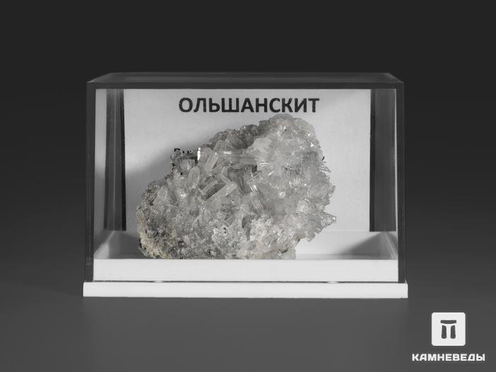 Ольшанскит, 4,6х2,7х1,3 см, 10-547, фото 2