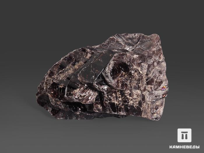 Аксинит-(Fe), 6х4х2 см, 15544, фото 1