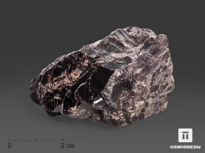Аксинит-(Fe), 6х4х2 см, 15544, фото 2