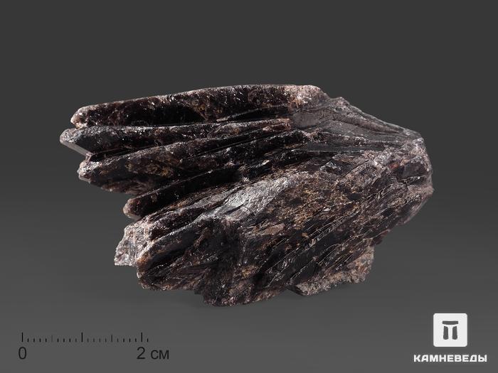 Аксинит-(Fe), 7х5х3 см, 15533, фото 1