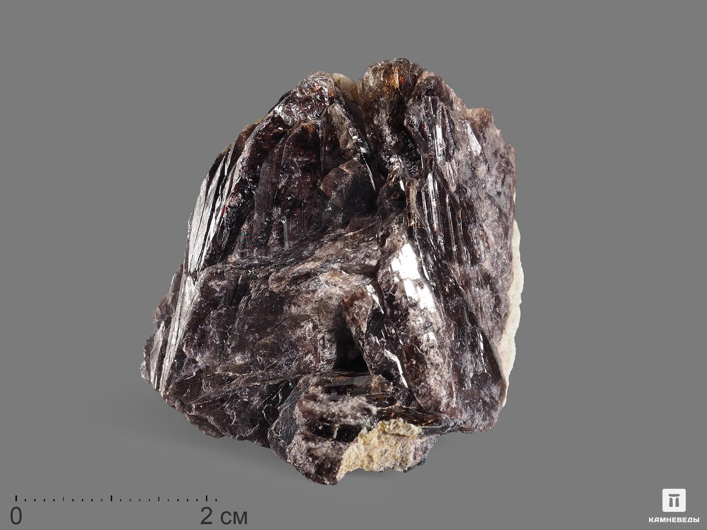 Аксинит-(Fe), 4,5х3х2 см