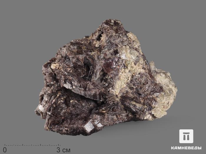 Аксинит-(Fe), 8,5х6,2х5 см, 15538, фото 1