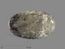 Гакманит, полированная галька 7,5х4,4х1,9 см, 15716, фото 3