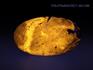 Гакманит, полированная галька 7,5х4,4х1,9 см, 15716, фото 4