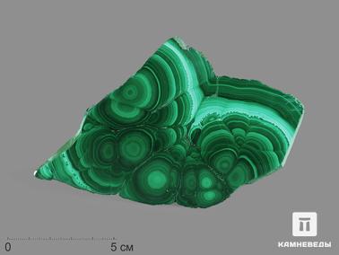 Малахит. Малахит, полированный срез 13х7,8х0,7 см