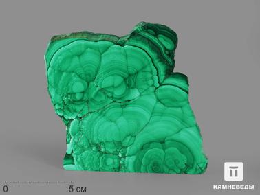 Малахит. Малахит, полированный срез 10,7х10,5х0,6 см