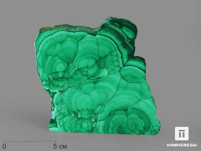 Малахит, полированный срез 10,7х10,5х0,6 см, 15877, фото 1