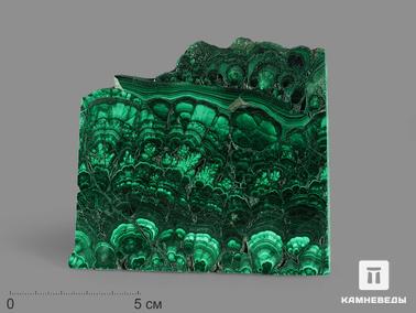 Малахит. Малахит, полированный срез 11,2х9,9х0,7 см