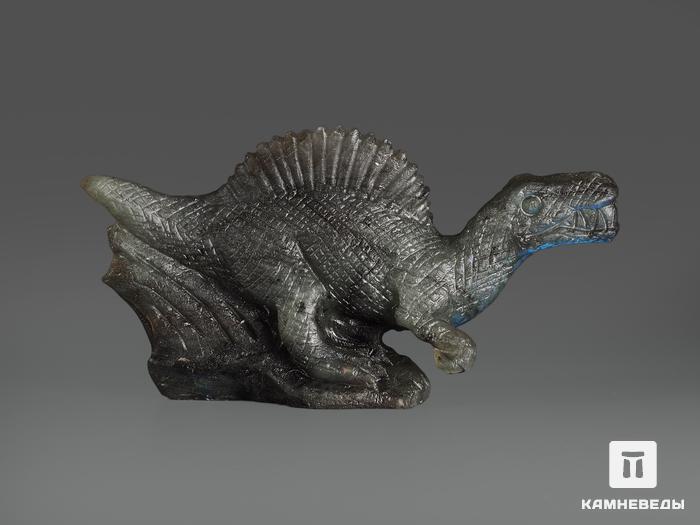 Динозавр из лабрадора, 10,5х5,5х2,5 см, 16078, фото 3