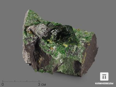 Титанит, Клинохлор, Уваровит. Кристаллы зелёного титанита с клинохлором и уваровитом, 6,9х4,6х4,3 см