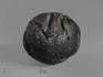 Филиппинит (Bikolite), тектит 3,5х3,1х2,7 см, 16378, фото 1