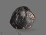 Австралит, тектит 1,5х1,4х1 см, 16389, фото 1