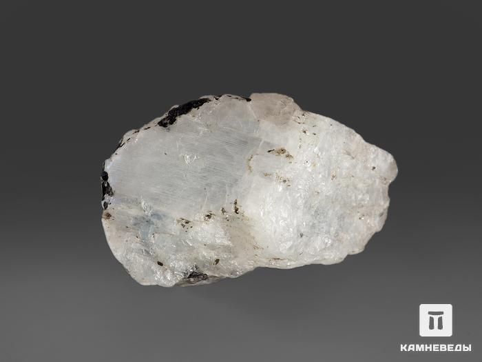 Лунный камень, 3,7х2,3х2 см, 16112, фото 2