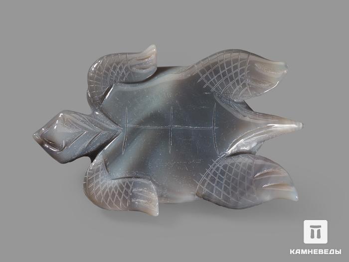 Черепаха из агата с жеодой, 13х8х2 см, 16103, фото 3