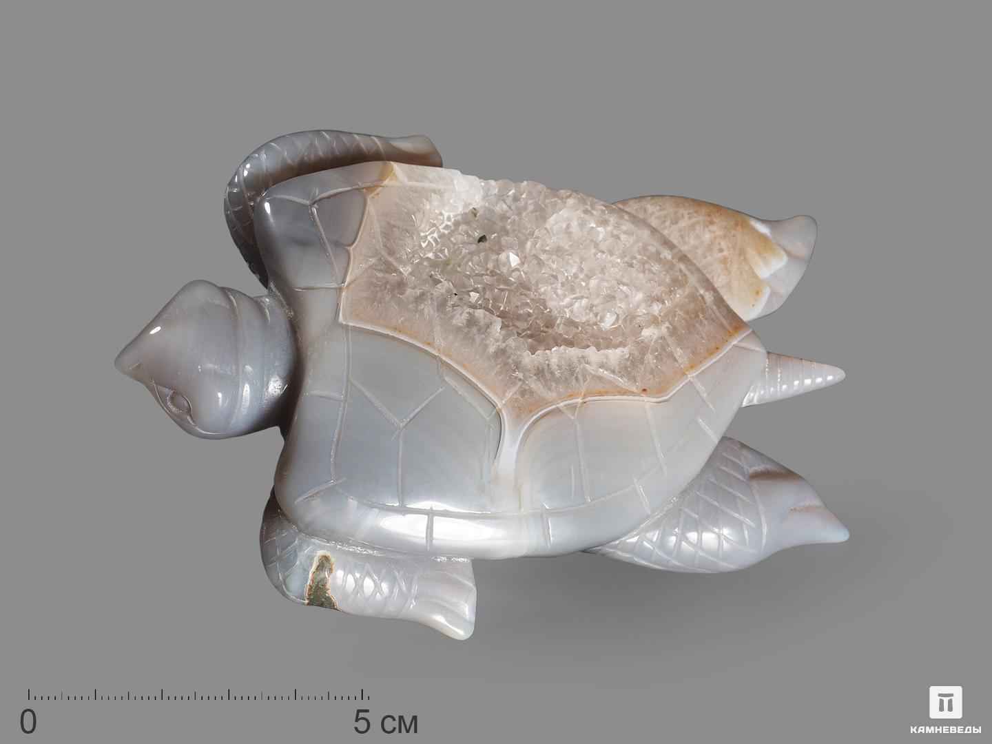 Черепаха из агата с жеодой, 12х8,5х2,3 см композиция дракон с жеодой агата 7х4 7х3 8 см