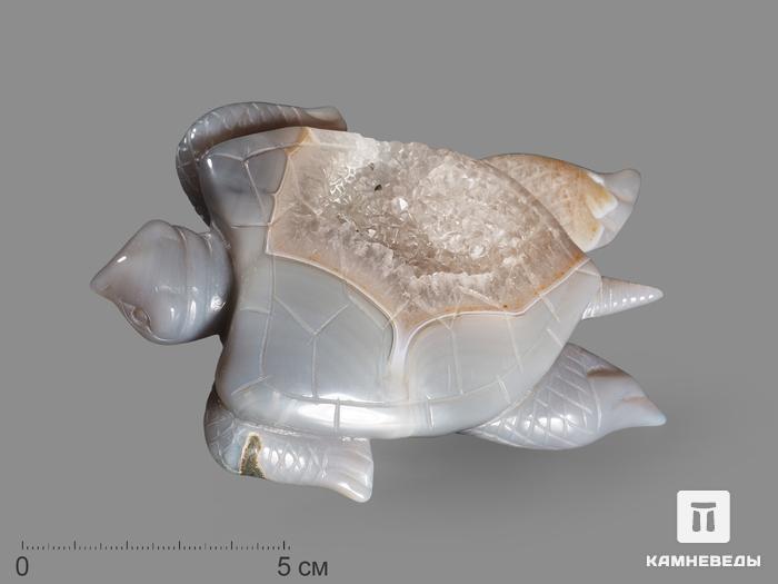 Черепаха из агата с жеодой, 12х8,5х2,3 см, 16104, фото 1