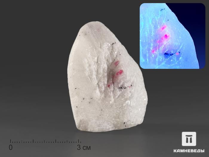 Шпинель красная на кальците, 4,8х3,4х2 см, 16109, фото 2