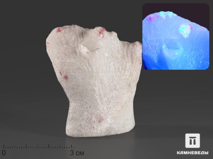 Шпинель красная на кальците, 5,5х4,6х2,9 см, 16107, фото 3