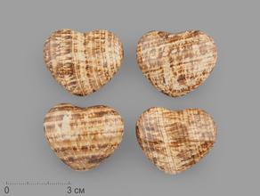 Сердце из арагонита, 4х3,3х2 см