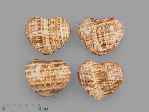 Сердце из арагонита, 4х3,3х2 см